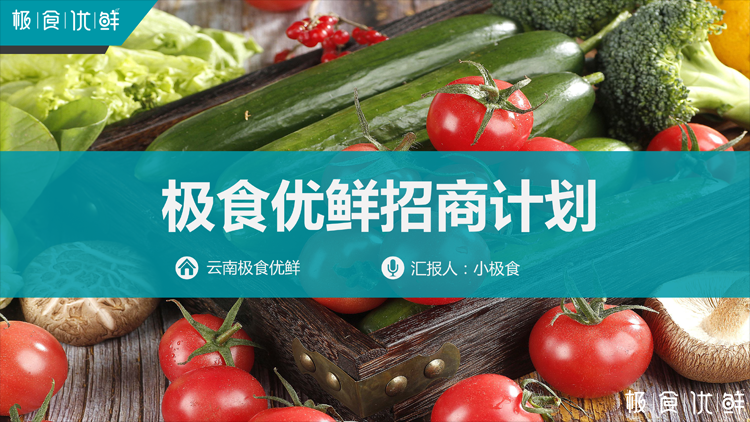 生鲜社区团购电商新模式完整版项目分析书