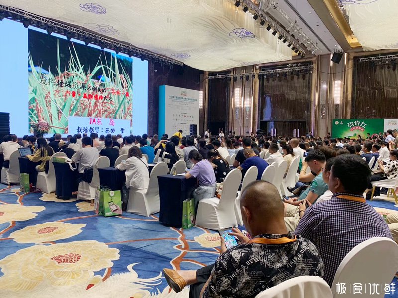 极食优鲜出席参展2019亚洲优质水果产业链云南峰