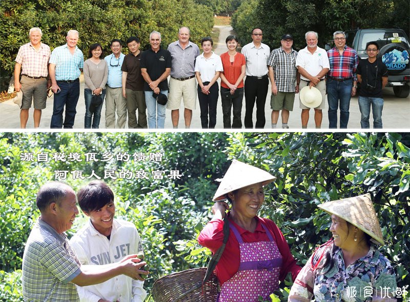 极食优鲜牵手云南坚果协会助推坚果走向世界