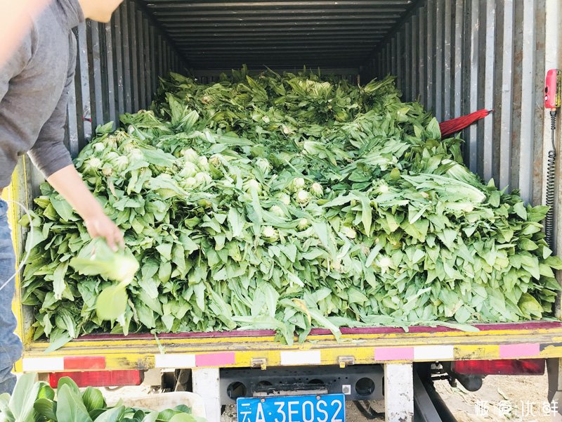 云南极食优鲜爱心公益