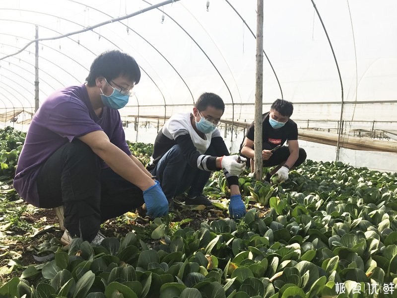 云南极食优鲜爱心公益