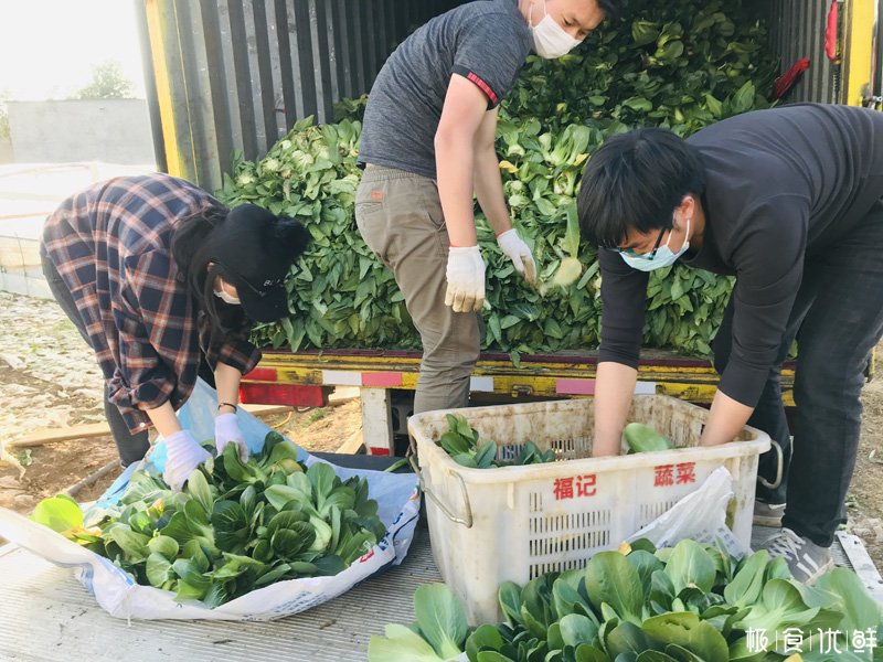 云南极食优鲜爱心公益
