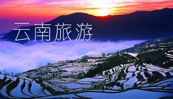 云南多家旅游公司和极食优鲜达成云南云品供应链合作