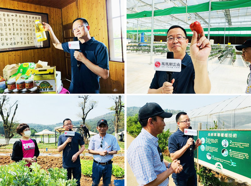 云南典型云品出滇企业极食优鲜平台